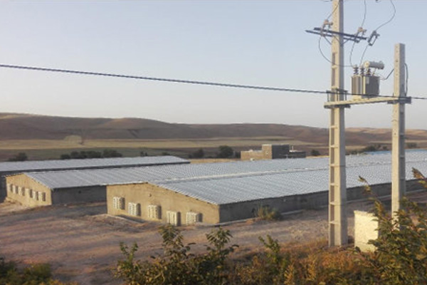 عایق پشت بام