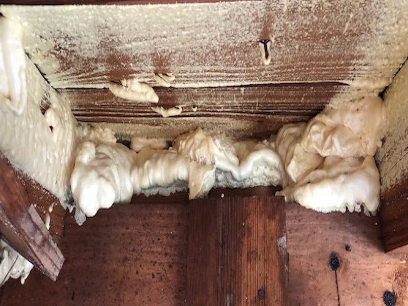 نکات مهم در اجرای فوم پاششی (بخش اول)